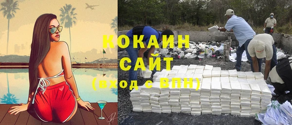 шишки Балабаново