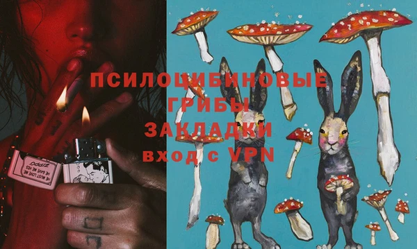 амф Арсеньев