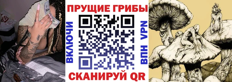 Галлюциногенные грибы ЛСД  Палласовка 